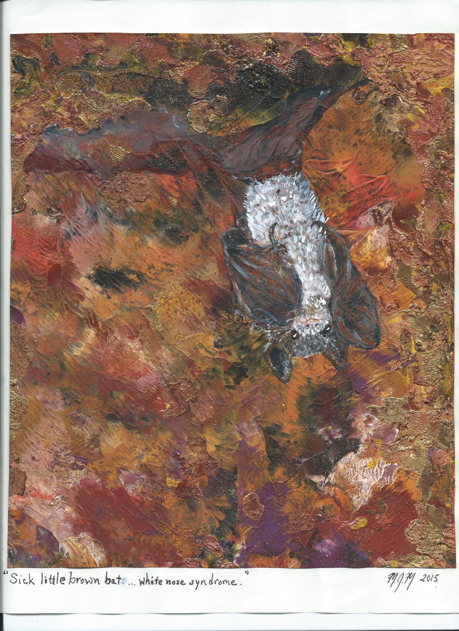 A painting by Marius Mason of a brown bat with white nose syndrome.